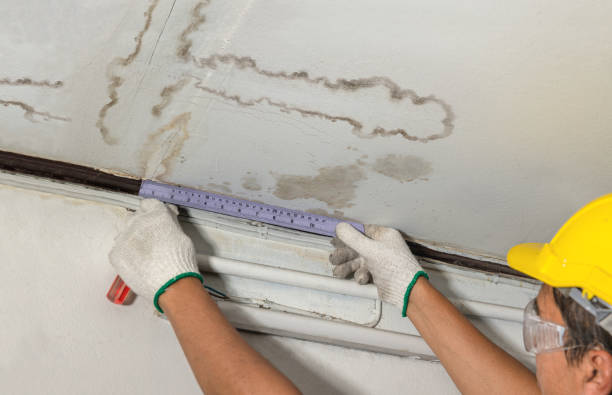 Reliable Mold Remediation contractor in Fort Leavenworth, KS by Local Water Damage Repair